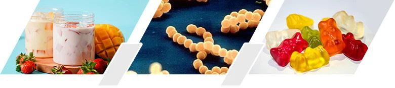 Efficacy-and-Application-Streptococcus-thermophilus