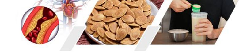 Pumpkin-Seed-Protein-Powder