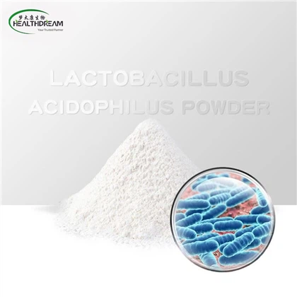 Lactobacillus acidophilus bột