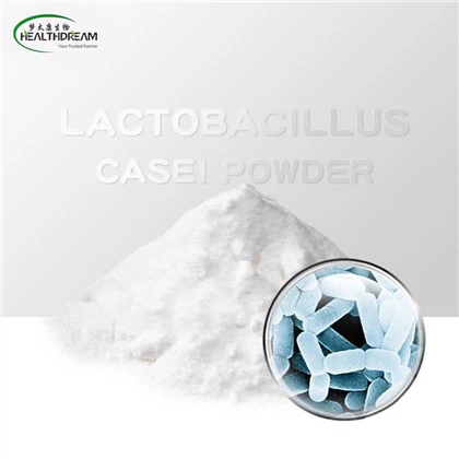 Lactobacillus casei bột
