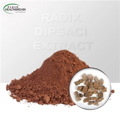 Chiết xuất radix dipsaci