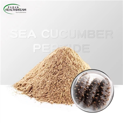 Peptide dưa chuột biển